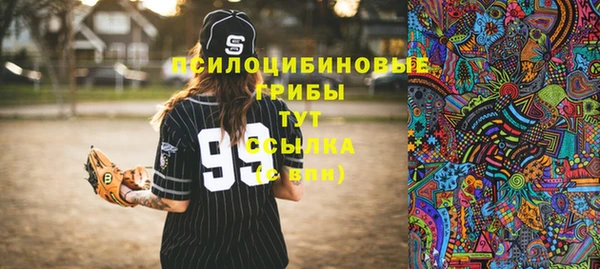 спиды Горно-Алтайск