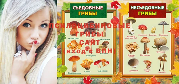 PSILOCYBIN Михайловка