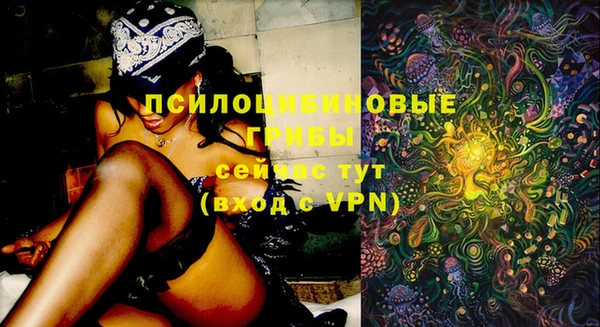 спиды Горно-Алтайск