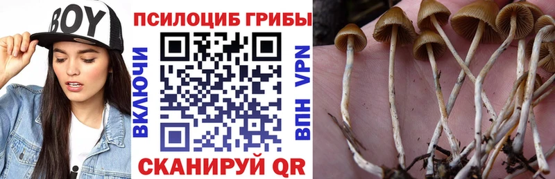 купить наркотик  Обоянь  МЕГА ТОР  Галлюциногенные грибы прущие грибы 